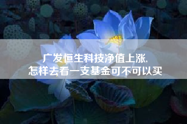 广发恒生科技净值上涨,
怎样去看一支基金可不可以买