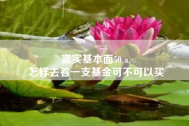 嘉实基本面50 a,
怎样去看一支基金可不可以买
