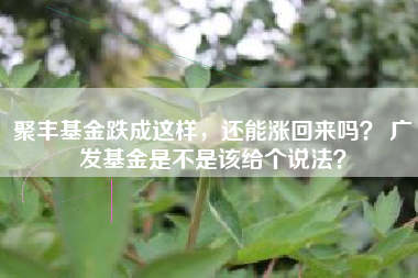聚丰基金跌成这样，还能涨回来吗？ 广发基金是不是该给个说法？
