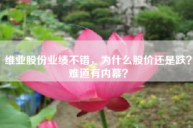 维业股份业绩不错，为什么股价还是跌？难道有内幕？