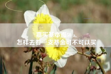 嘉实基本面50 a,
怎样去看一支基金可不可以买