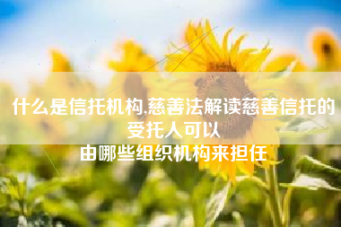 什么是信托机构,慈善法解读慈善信托的受托人可以
由哪些组织机构来担任 什么是信托机构,慈善法解读慈善信托的受托人可以
由哪些组织机构来担任