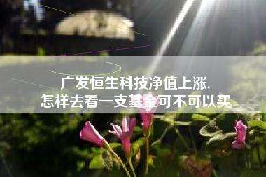 广发恒生科技净值上涨,
怎样去看一支基金可不可以买