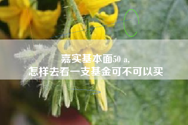 嘉实基本面50 a,
怎样去看一支基金可不可以买