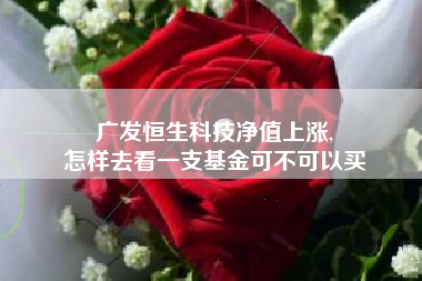 广发恒生科技净值上涨,
怎样去看一支基金可不可以买