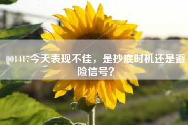 001417今天表现不佳，是抄底时机还是避险信号？