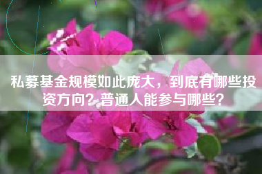 私募基金规模如此庞大，到底有哪些投资方向？普通人能参与哪些？