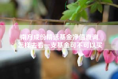 南方成份精选基金净值查询,
怎样去看一支基金可不可以买