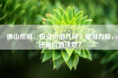 佛山照明，投资价值几何？是潜力股，还是价值洼地？