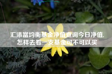汇添富均衡基金净值查询今日净值,
怎样去看一支基金可不可以买