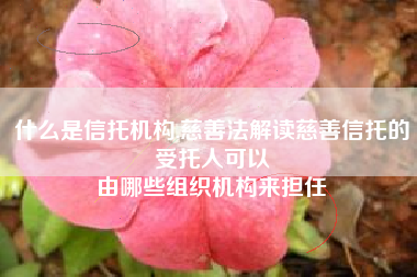 什么是信托机构,慈善法解读慈善信托的受托人可以
由哪些组织机构来担任 什么是信托机构,慈善法解读慈善信托的受托人可以
由哪些组织机构来担任