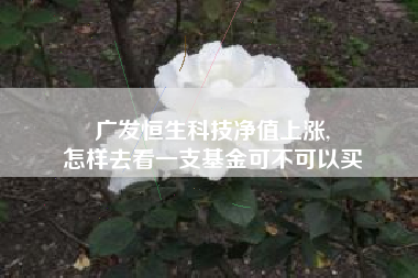 广发恒生科技净值上涨,
怎样去看一支基金可不可以买