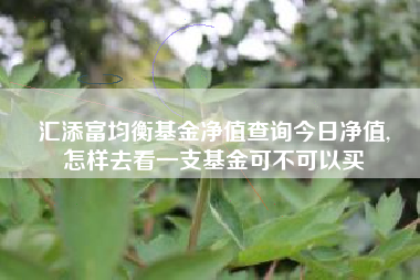 汇添富均衡基金净值查询今日净值,
怎样去看一支基金可不可以买