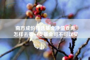 南方成份精选基金净值查询,
怎样去看一支基金可不可以买