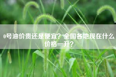 0号油价贵还是便宜？全国各地现在什么价格一升？