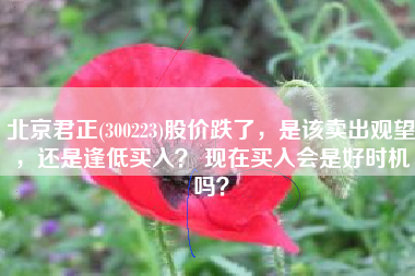 北京君正(300223)股价跌了,是该卖出观望,还是逢低买入? 现在买入会是好时机吗?