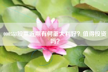 000553股票近期有何重大利好？值得投资吗？