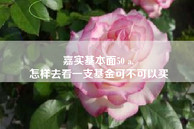 嘉实基本面50 a,
怎样去看一支基金可不可以买