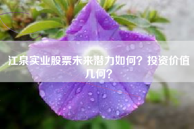 江泉实业股票未来潜力如何？投资价值几何？