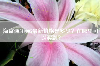 海富通519005最新价格是多少？在哪里可以买到？