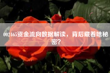 002465资金流向数据解读，背后藏着啥秘密？