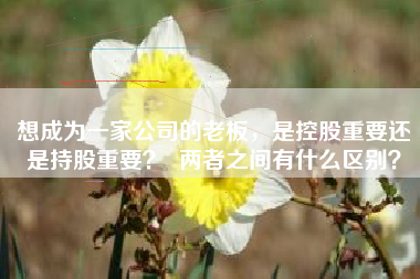 想成为一家公司的老板，是控股重要还是持股重要？  两者之间有什么区别？
