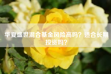 华夏盛世混合基金风险高吗？适合长期投资吗？