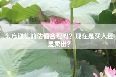 东方通信的估值合理吗？现在是买入还是卖出？