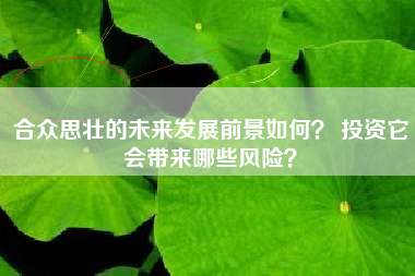 合众思壮的未来发展前景如何？ 投资它会带来哪些风险？