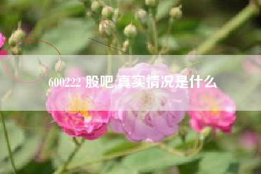 600222 股吧,真实情况是什么