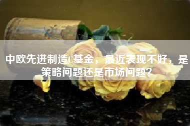 中欧先进制造C基金，最近表现不好，是策略问题还是市场问题？