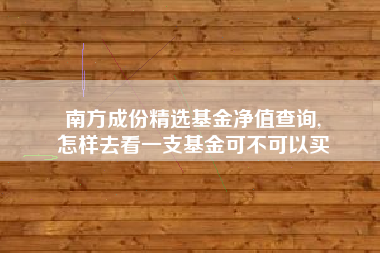 南方成份精选基金净值查询,
怎样去看一支基金可不可以买