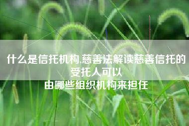什么是信托机构,慈善法解读慈善信托的受托人可以
由哪些组织机构来担任 什么是信托机构,慈善法解读慈善信托的受托人可以
由哪些组织机构来担任