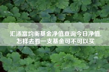汇添富均衡基金净值查询今日净值,
怎样去看一支基金可不可以买