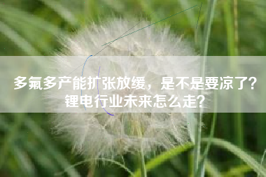 多氟多产能扩张放缓，是不是要凉了？锂电行业未来怎么走？