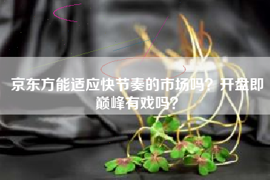 京东方能适应快节奏的市场吗？开盘即巅峰有戏吗？
