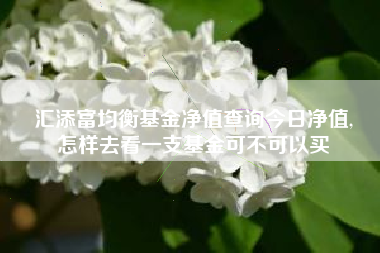 汇添富均衡基金净值查询今日净值,
怎样去看一支基金可不可以买