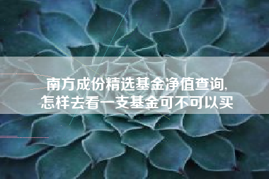 南方成份精选基金净值查询,
怎样去看一支基金可不可以买