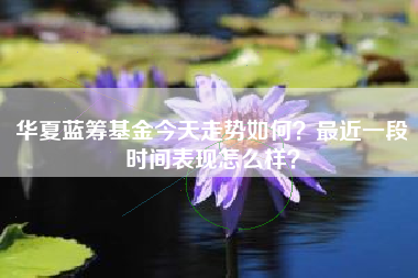 华夏蓝筹基金今天走势如何？最近一段时间表现怎么样？