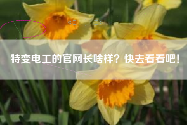 特变电工的官网长啥样？快去看看吧！