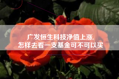 广发恒生科技净值上涨,
怎样去看一支基金可不可以买