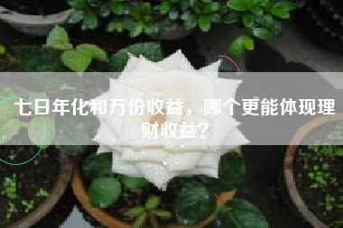 七日年化和万份收益，哪个更能体现理财收益？