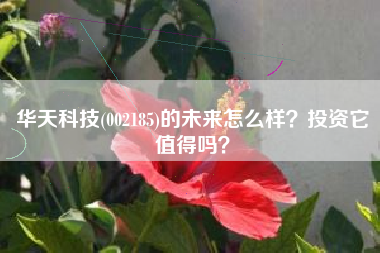 华天科技(002185)的未来怎么样？投资它值得吗？