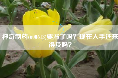 神奇制药(600613)要涨了吗？现在入手还来得及吗？