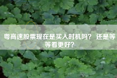 粤高速股票现在是买入时机吗？ 还是等等看更好？