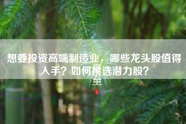 想要投资高端制造业，哪些龙头股值得入手？如何挑选潜力股？