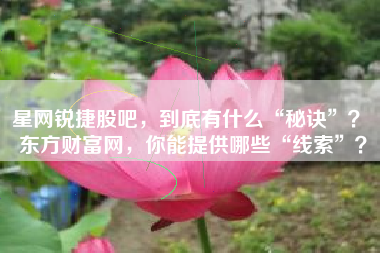 星网锐捷股吧，到底有什么“秘诀”？ 东方财富网，你能提供哪些“线索”？