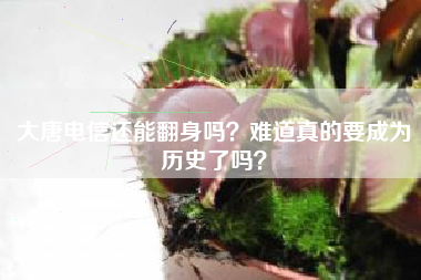 大唐电信还能翻身吗？难道真的要成为历史了吗？