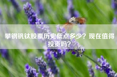 攀钢钒钛股票历史低点多少？现在值得投资吗？