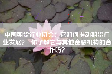 中国期货行业协会:它如何推动期货行业发展? 你了解它与其他金融机构的合作吗?